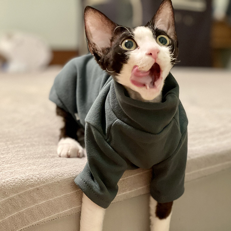 Winter Clothing For Toddlers - Sphynx kattenkleding baby zacht katoen herfst