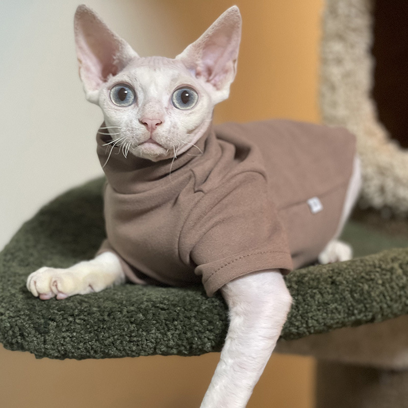 Sphynx kattenkleding baby zach - Winter Clothing For Toddlers recensie en prijs