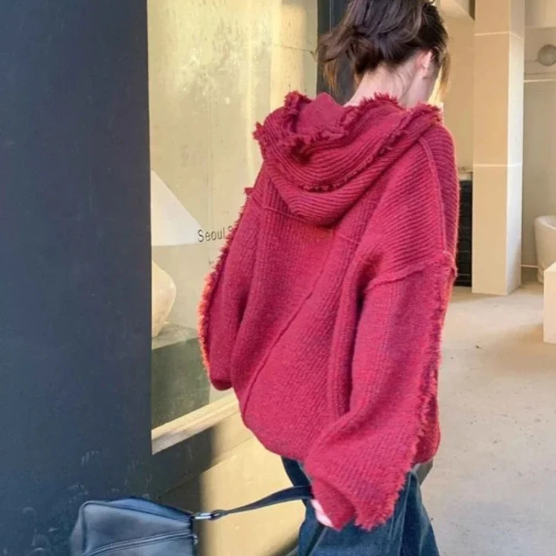 Herfst En Winter Dikke Hoodies - Winter Clothing Essential recensie en prijs
