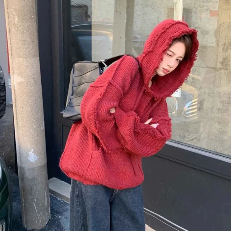 Herfst En Winter Dikke Hoodies - Winter Clothing Essential recensie en prijs